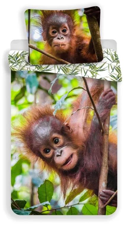 JERRY FABRICS Obliečky Orangután 02 Bavlna, 140/200, 70/90 cm