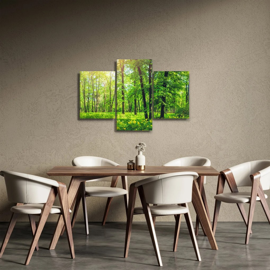Obraz - Jarný listnatý les (90x60 cm)