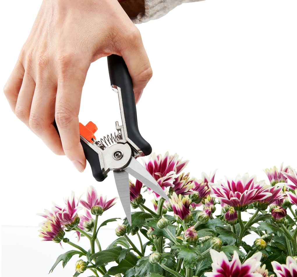 Záhradnícke mininožnice, 2 ks