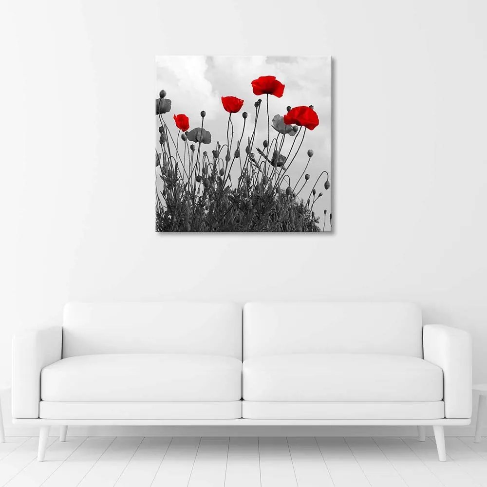 Gario Obraz na plátne Červené kvety maku Rozmery: 60 x 60 cm