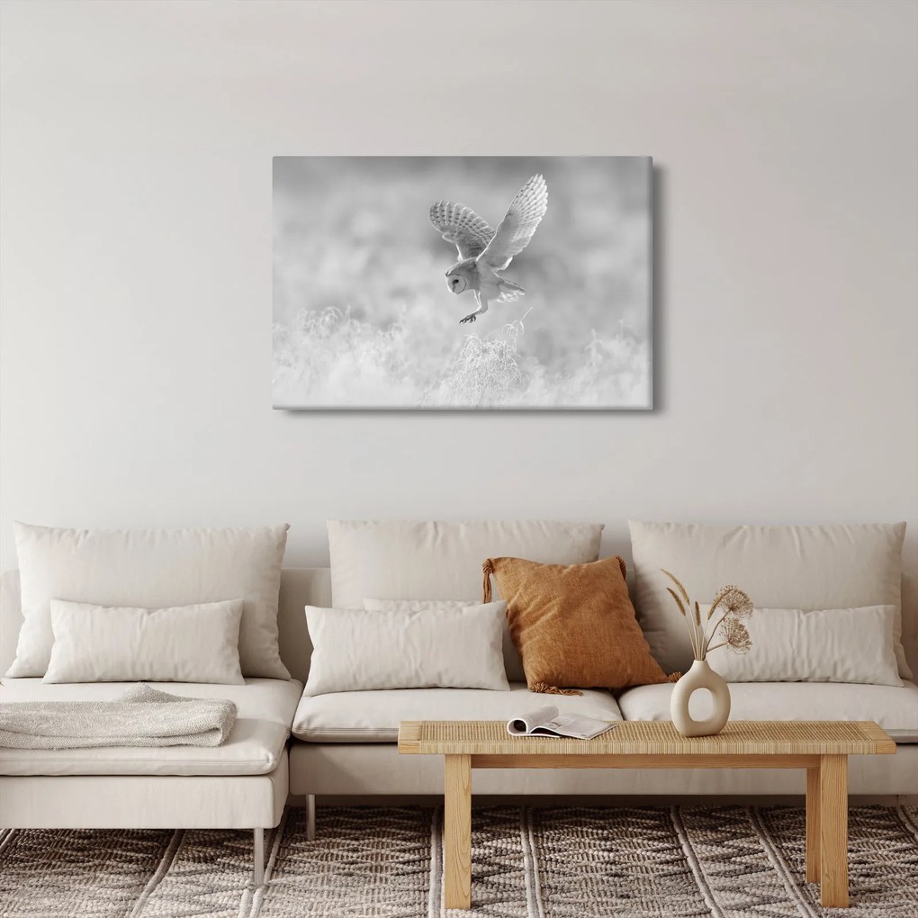 Obraz - Sova v poli (90x60 cm)
