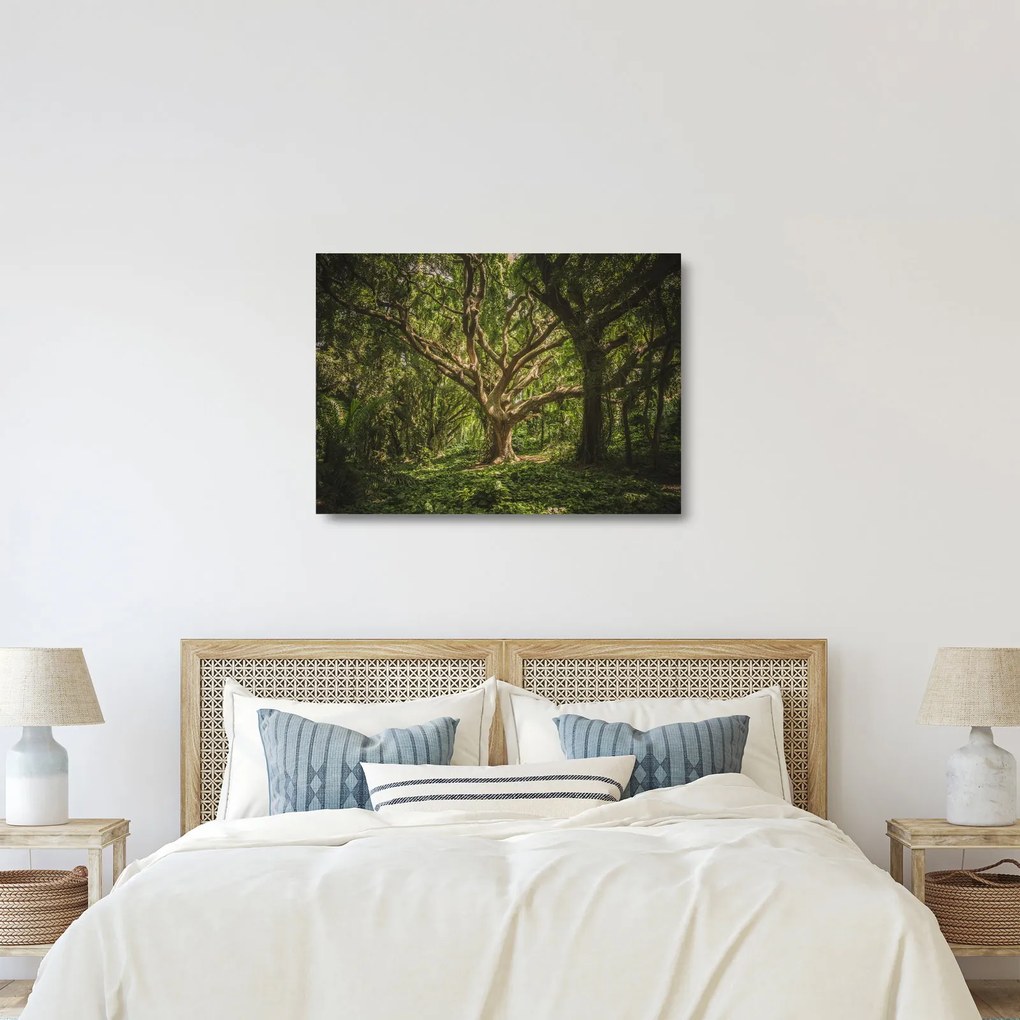 Sklenený obraz stromov (70x50 cm)