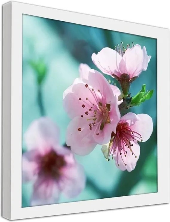 CARO Obraz v ráme - Almond Pink Flowers Biela 20x20 cm