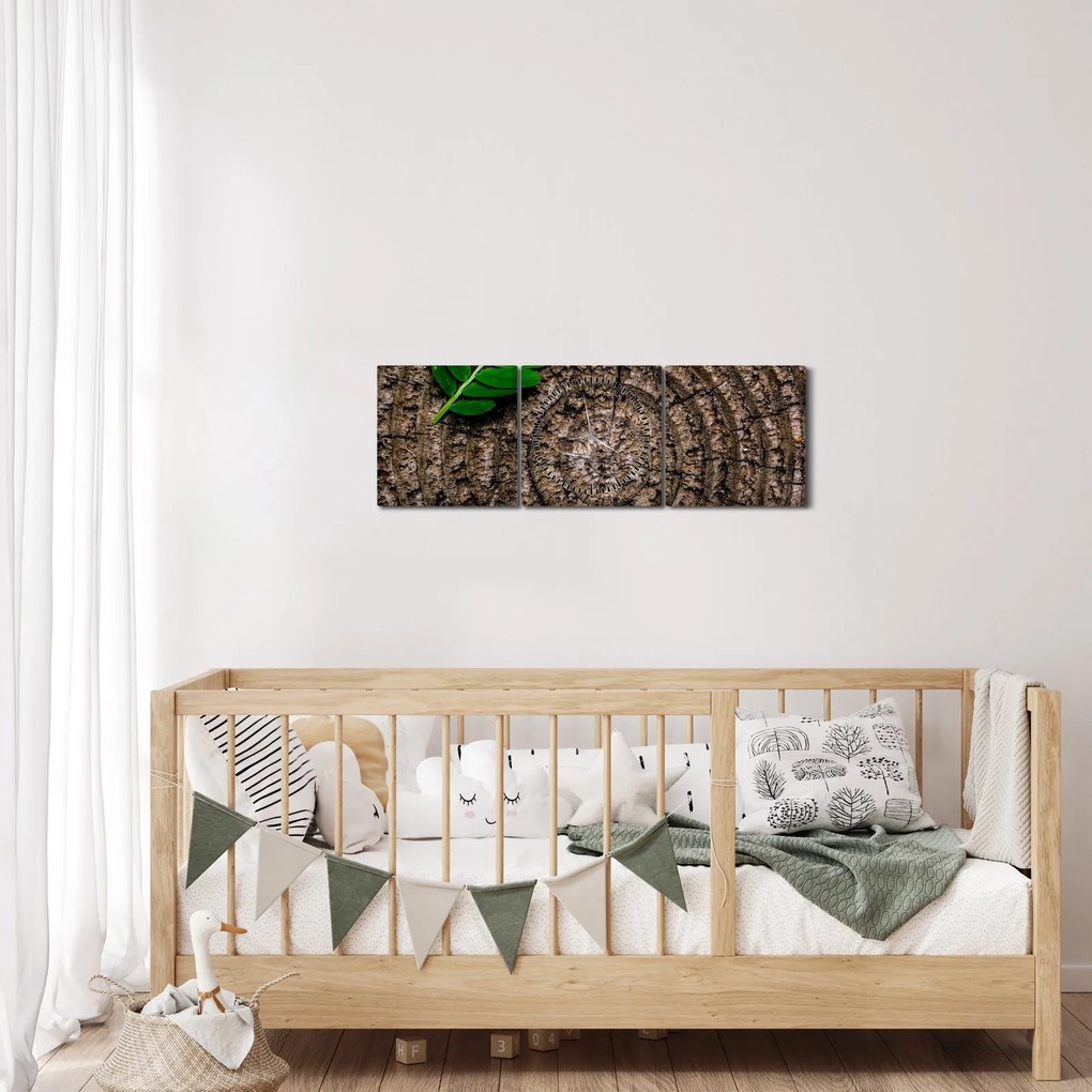 Obraz listu na kmeni stromu (s hodinami) (90x30 cm)
