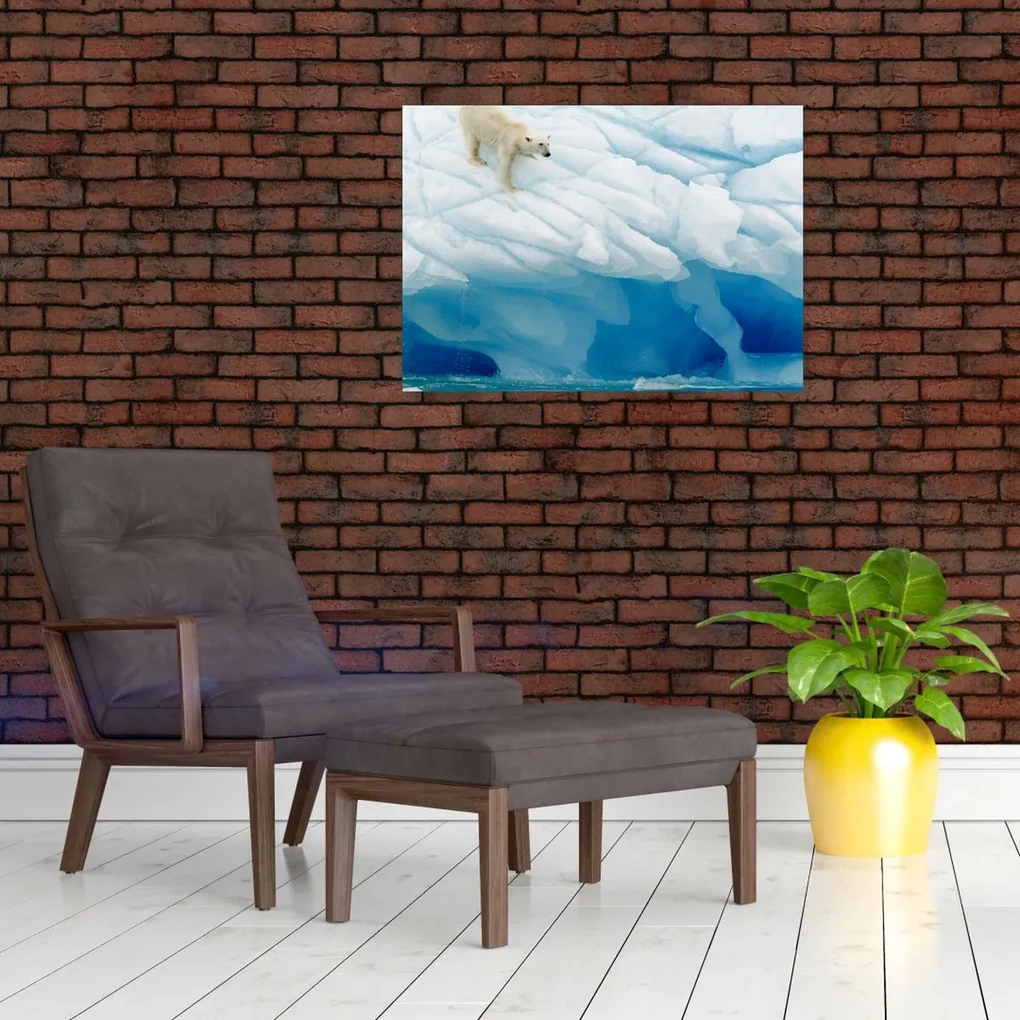 Sklenený obraz - Polárny medveď (70x50 cm)