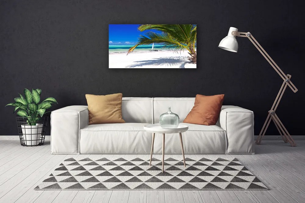 Obraz Canvas Pláž palma príroda 100x50 cm