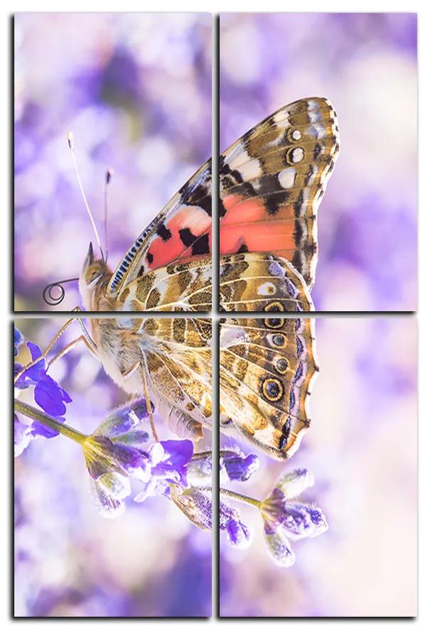 Obraz na plátne - Motýľ na levandule - obdĺžnik 7221E (90x60 cm)