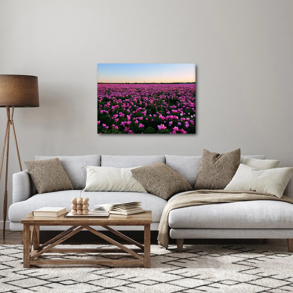 Obraz - Lúka fialových tulipánov (70x50 cm)