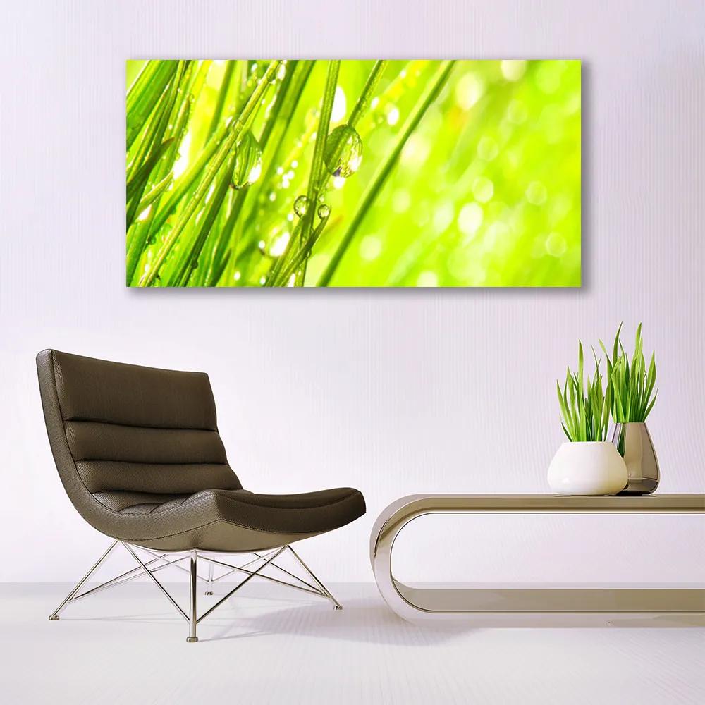 Obraz plexi Príroda kvapky tráva 120x60 cm