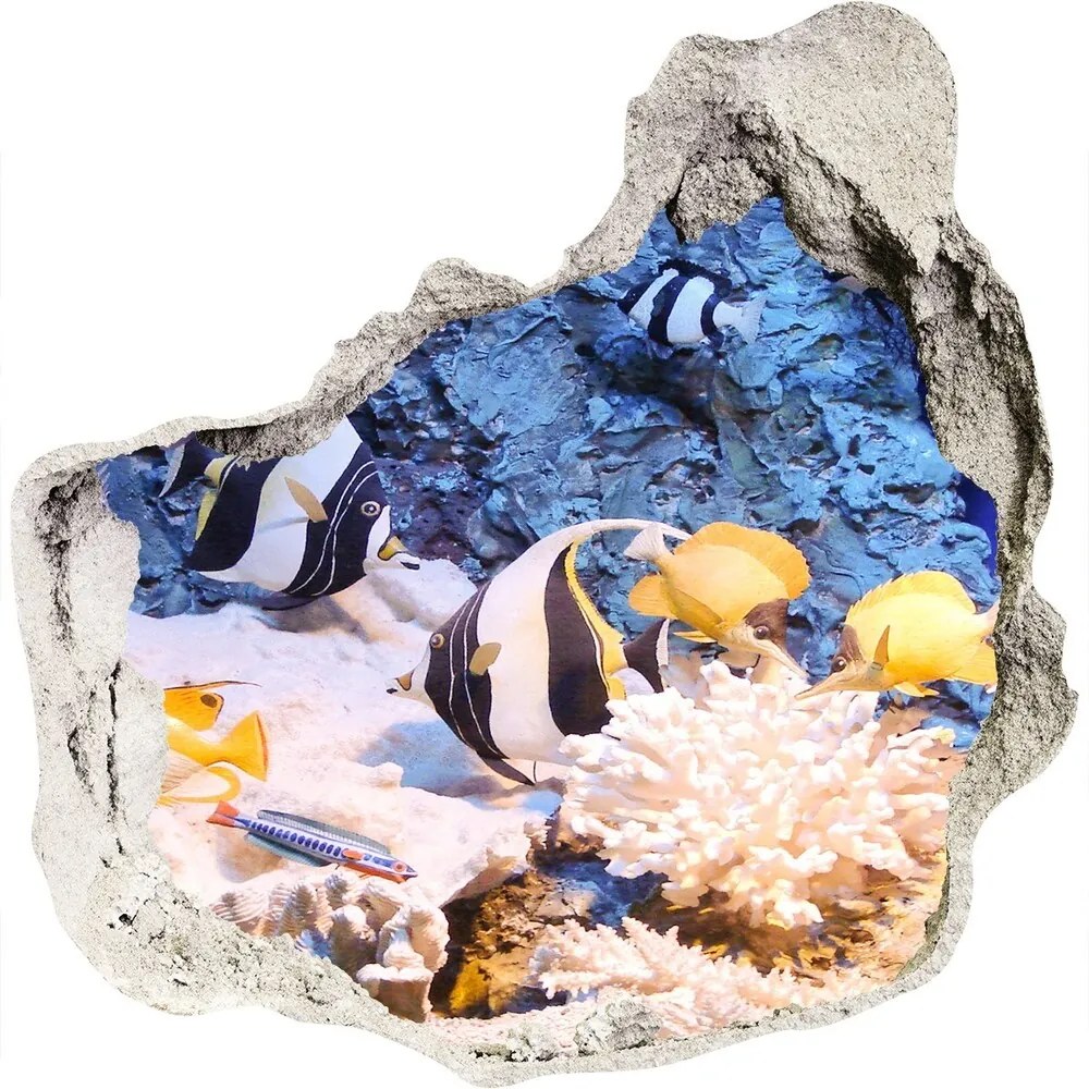 Fototapeta diera na stenu 3D Koralový útes nd-p-105919456