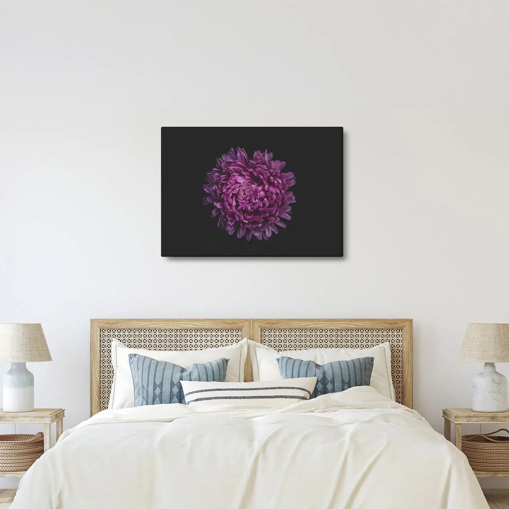 Obraz fialovej kvetiny (70x50 cm)