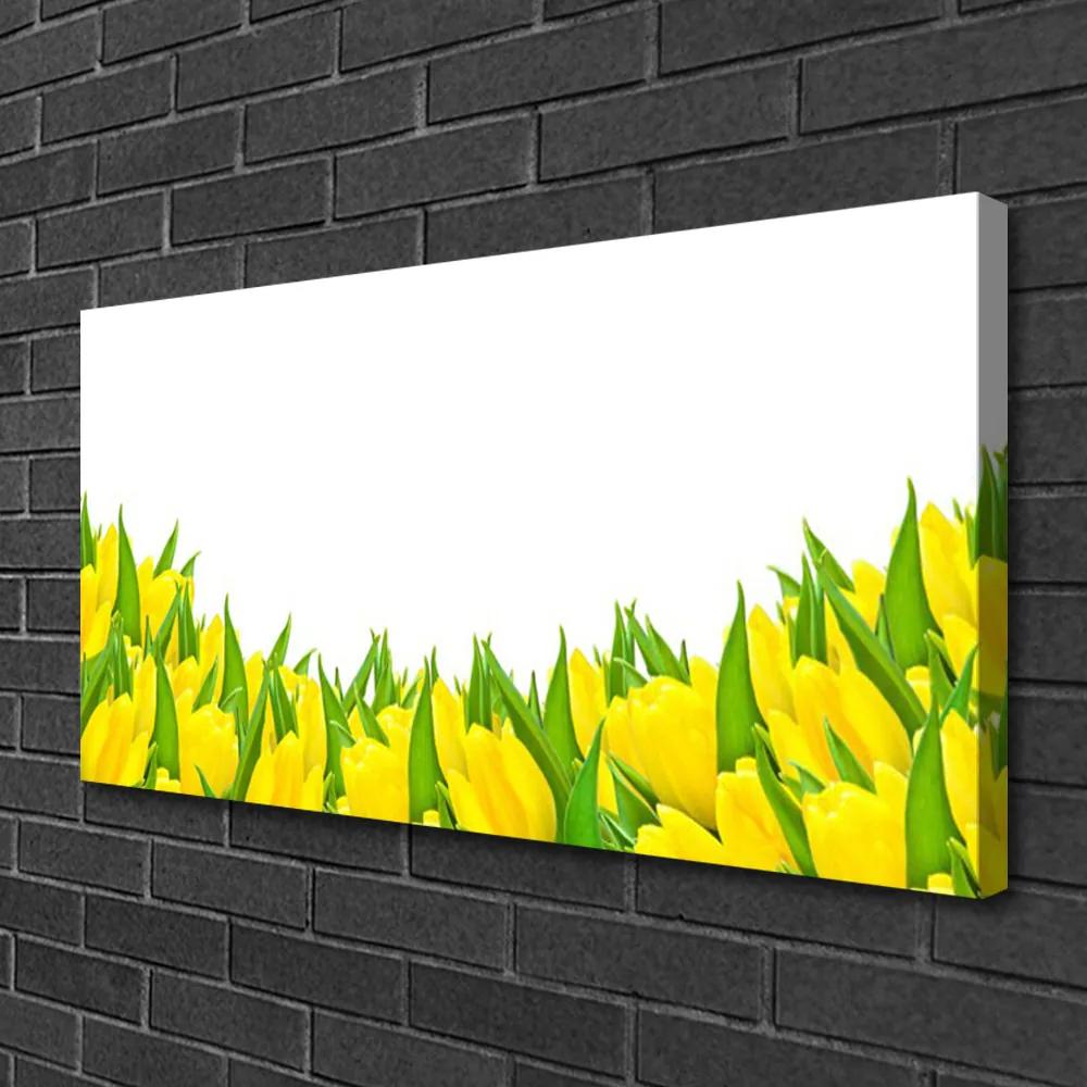 Obraz Canvas Kvety príroda tulipány 125x50 cm