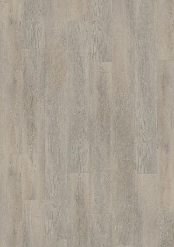 Oneflor, Vinylová podlaha lepená ECO 55 055 Old Oak Light Breige, 1219,2 x 184,1 mm