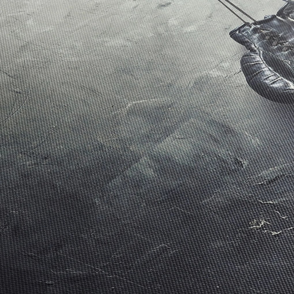 Obraz boxerských rukavíc (70x50 cm)