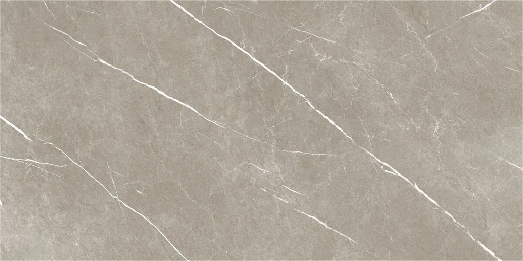 Dlažba Eternal Taupe Natural 60x120 R
