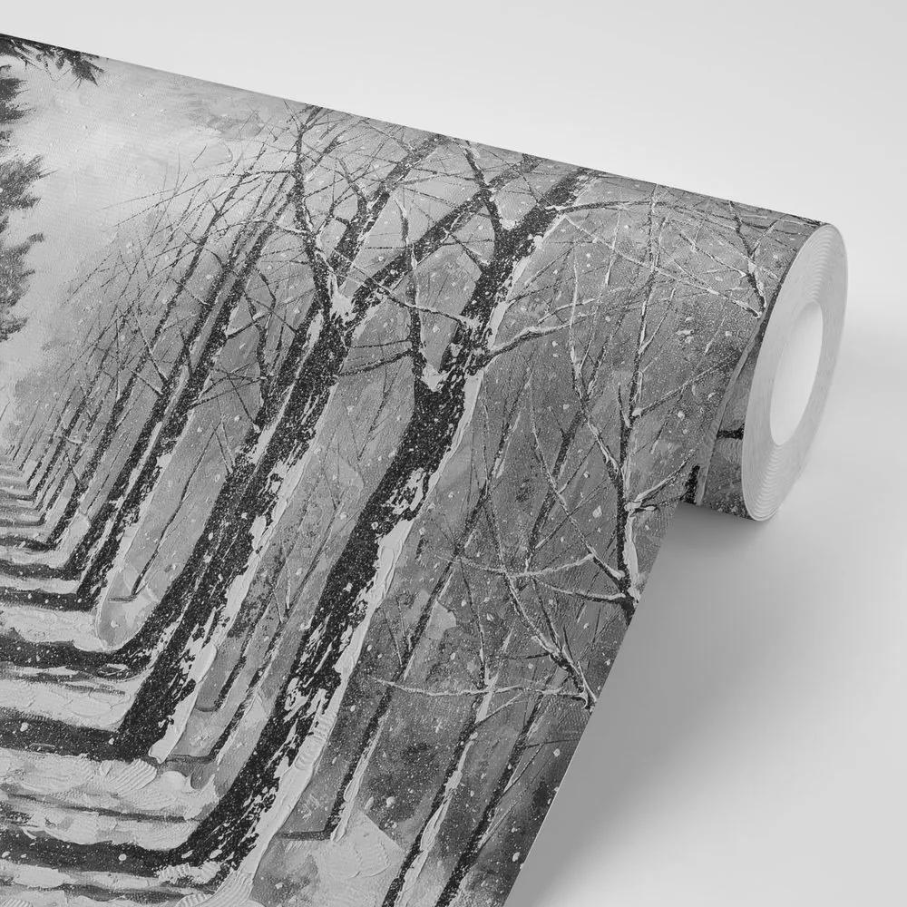 Samolepiaca tapeta jesenná čiernobiela alej stromov - 300x200