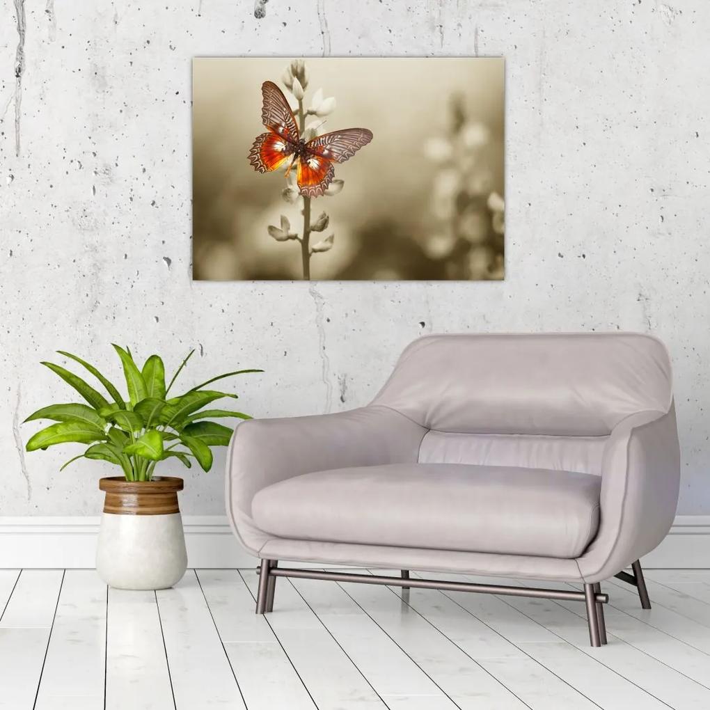 Sklenený obraz motýľa (70x50 cm)