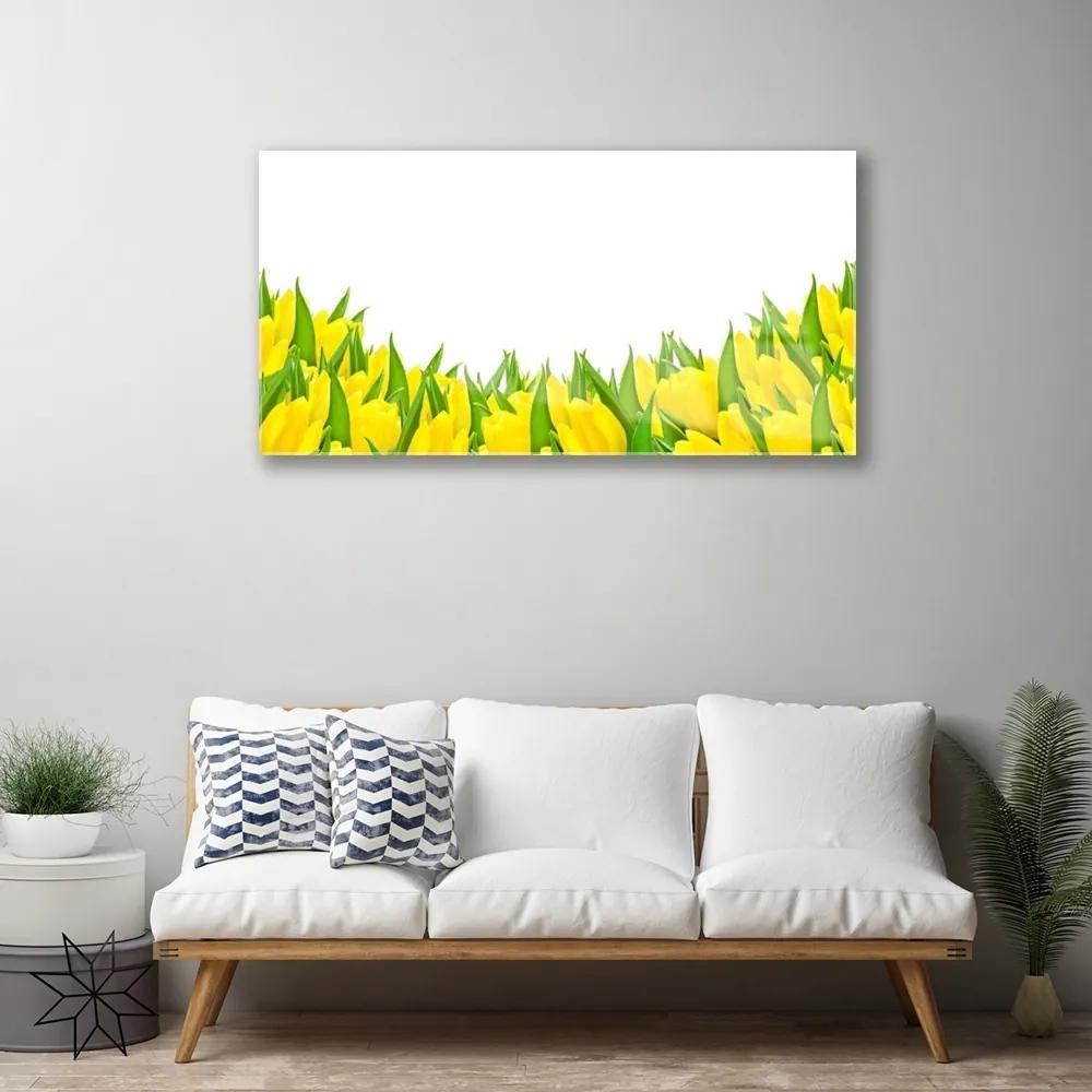 Obraz plexi Kvety príroda tulipány 100x50 cm