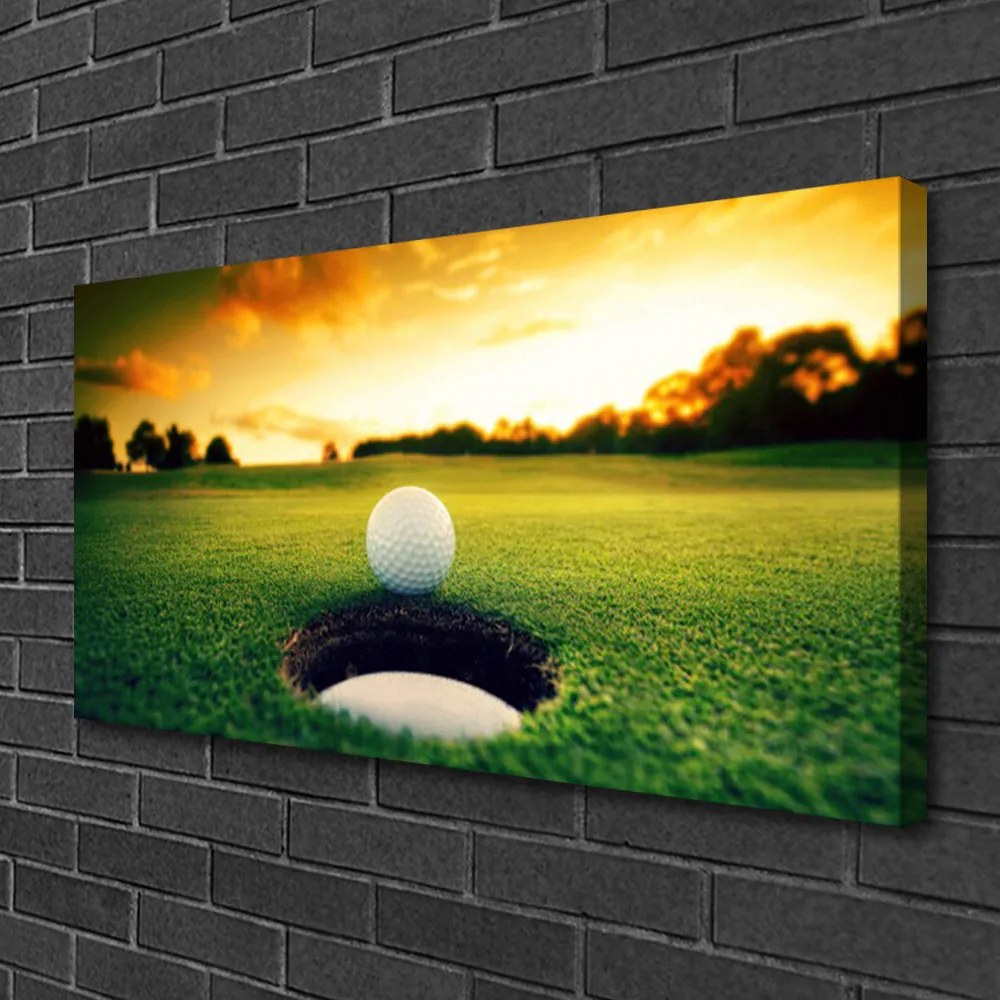 Obraz na plátne Golfový loptička tráva príroda 125x50 cm