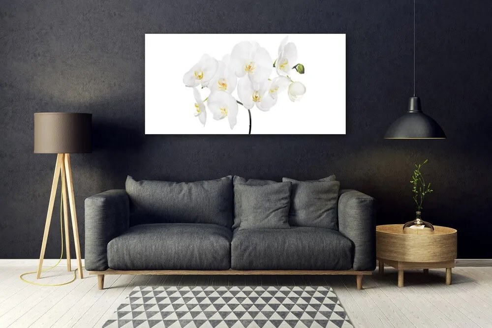 Obraz plexi Biela orchidea kvety 120x60 cm