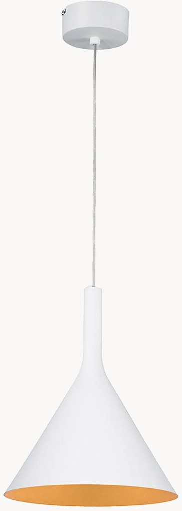 Závesné svietidlo Asia