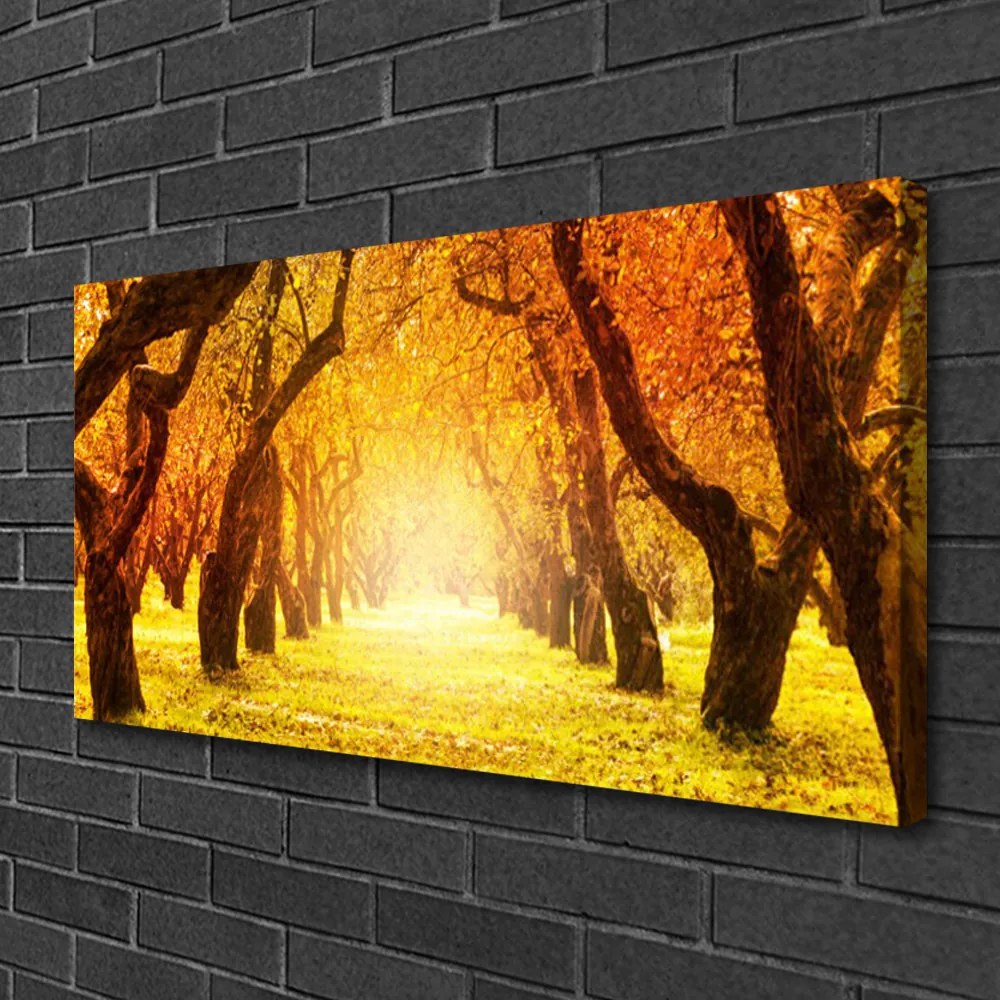 Obraz Canvas Les chodník stromy príroda 140x70 cm