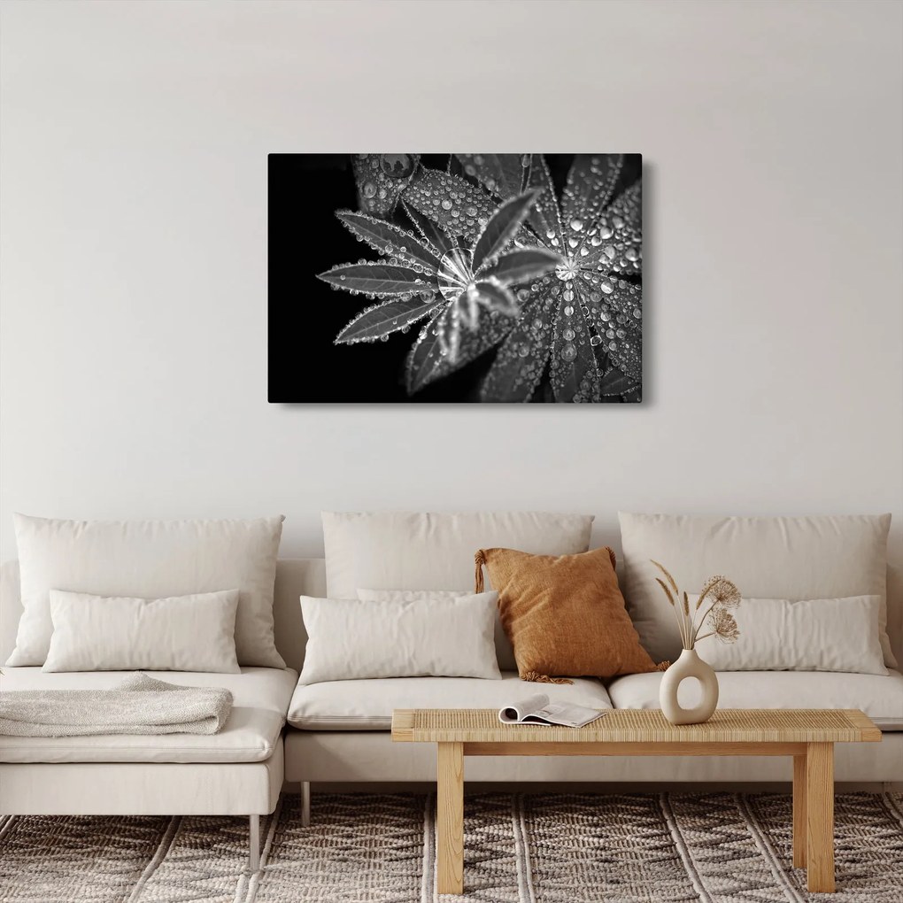 Obraz - Listy s kvapkami (90x60 cm)
