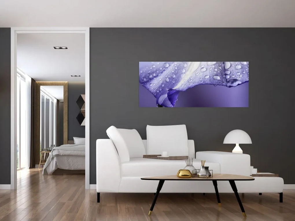 Obraz - Okvetný lístok s kvapkami (120x50 cm)