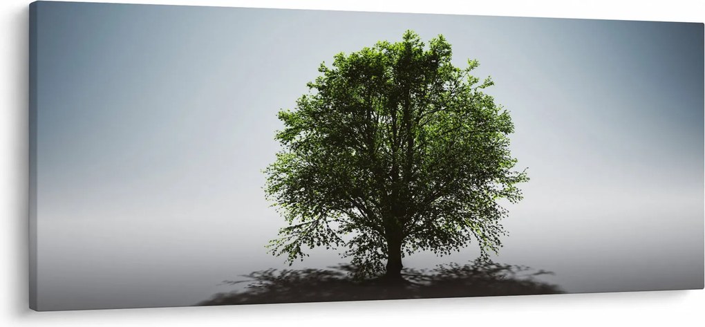 Obraz - Osamotený strom (120x50 cm)