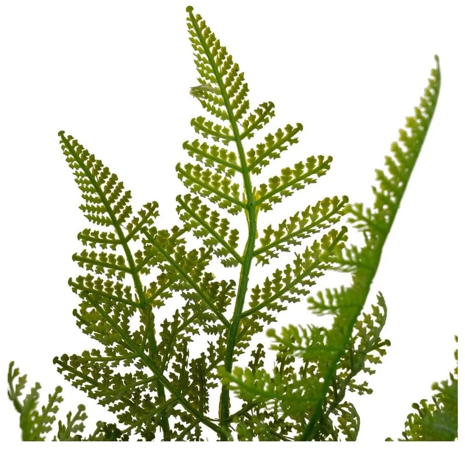 Umelá papraď (výška 45 cm) – Casa Selección