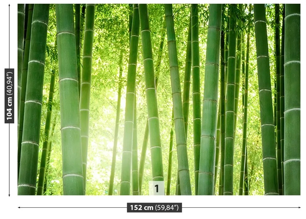 Fototapeta Vliesová Bambusové lesy 208x146 cm