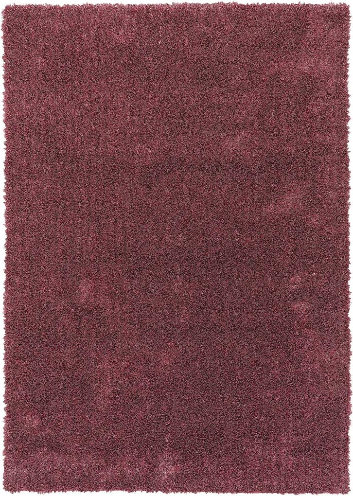 Schöner Wohnen-Kollektion - Golze koberce Kusový koberec New Feeling 150011 Rose - 70x140 cm