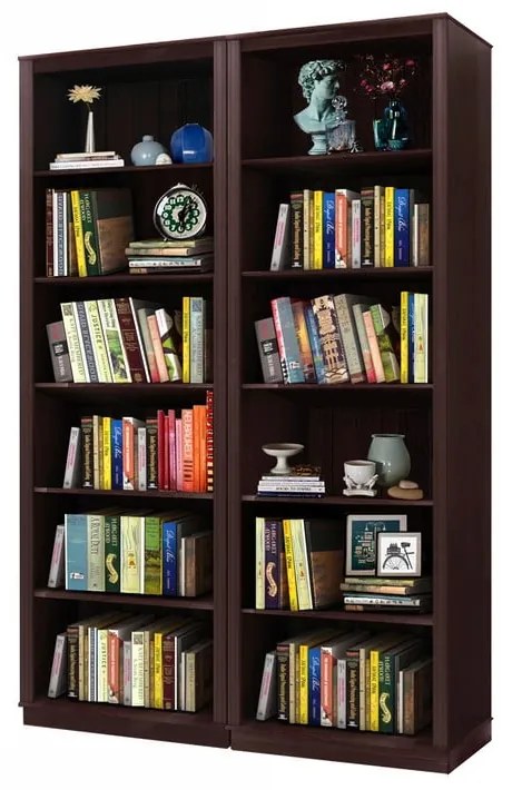 Hnedá knižnica z borovicového dreva 148x223 cm Anita – Støraa