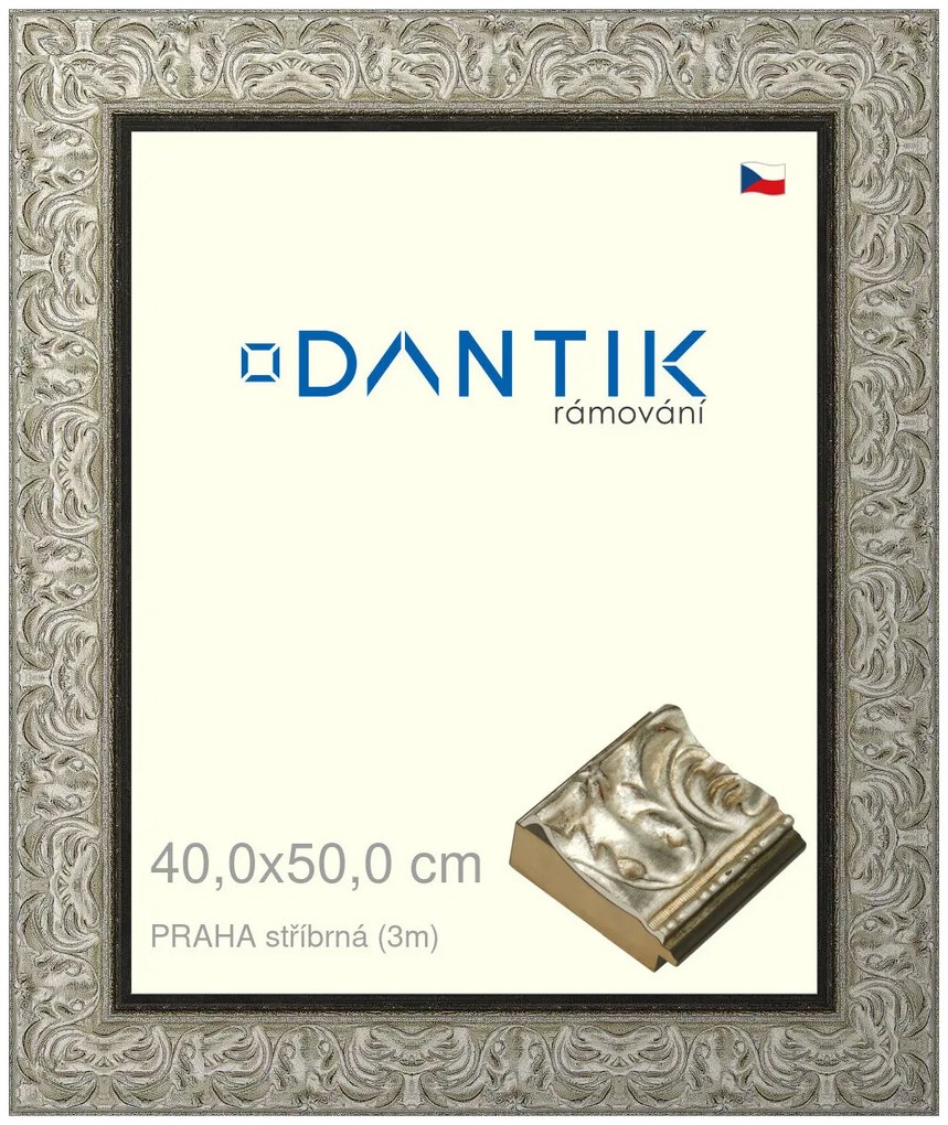 DANTIK rám na obraz 40x50 | PRAHA stříbrná (Sklo Čiré)