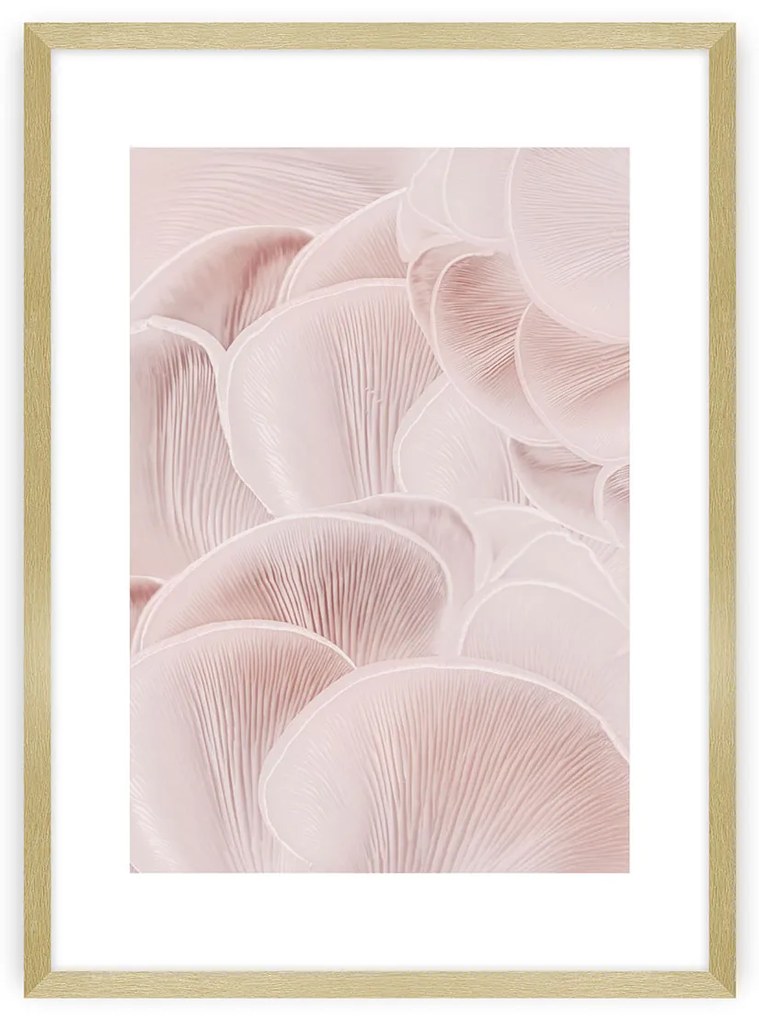 Plagát Pastel Pink I