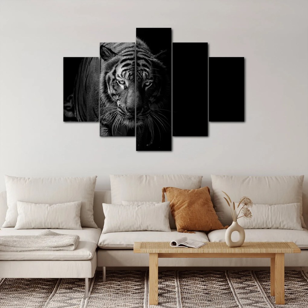Obraz divokého tigra (150x105 cm)