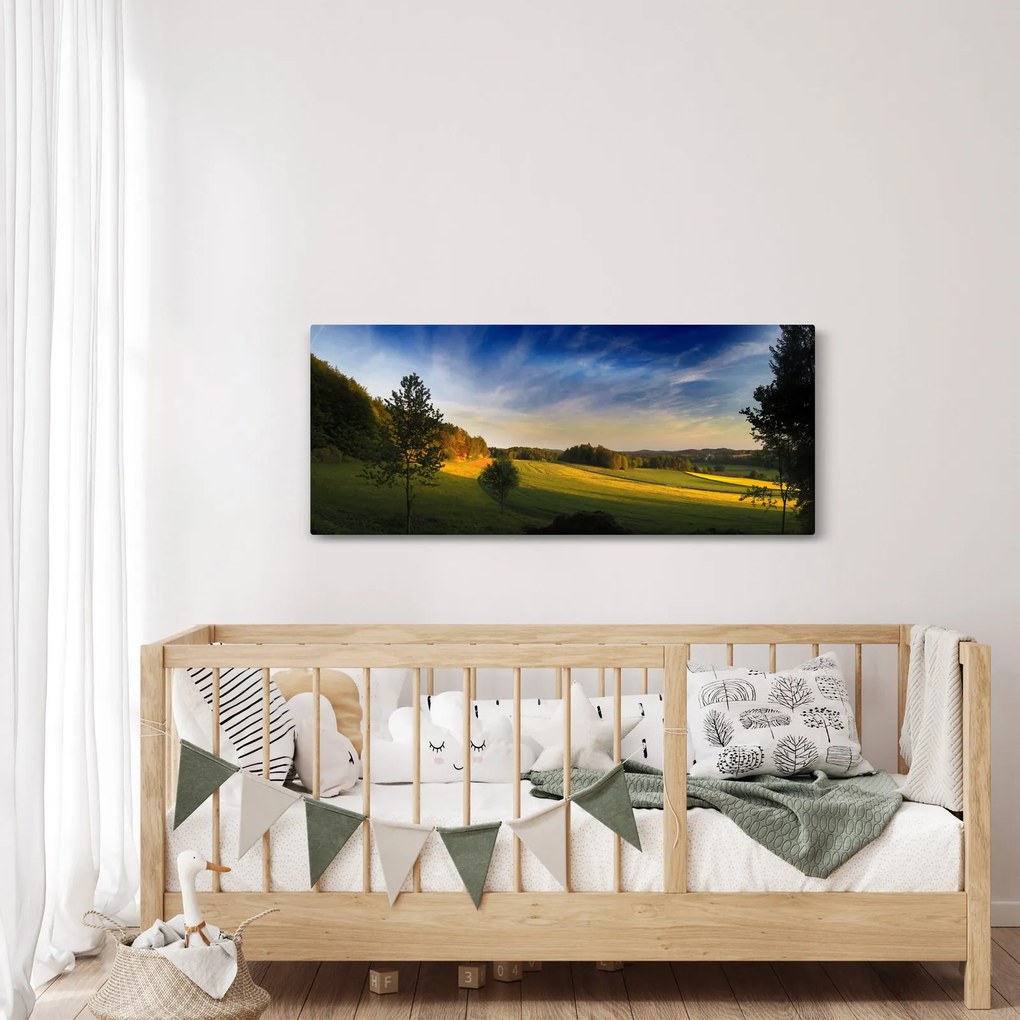 Obraz - Horská lúka (120x50 cm)