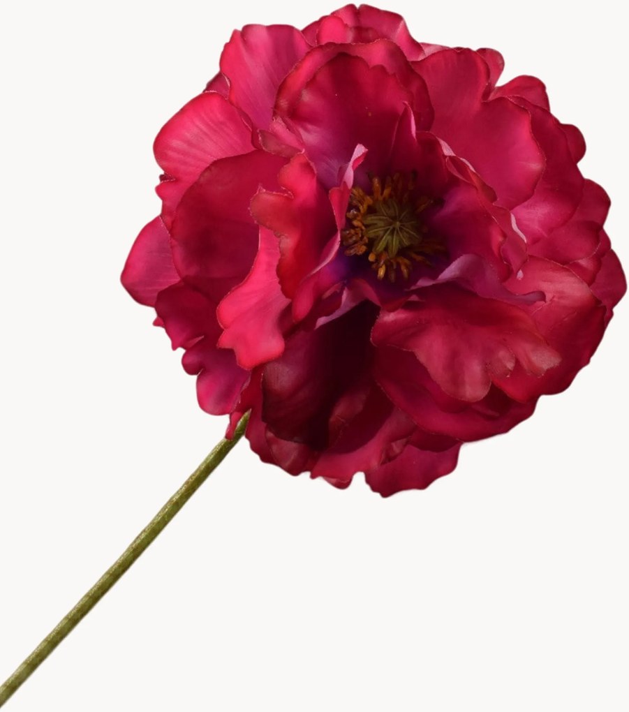 Rastlinná dekorácia Poppy