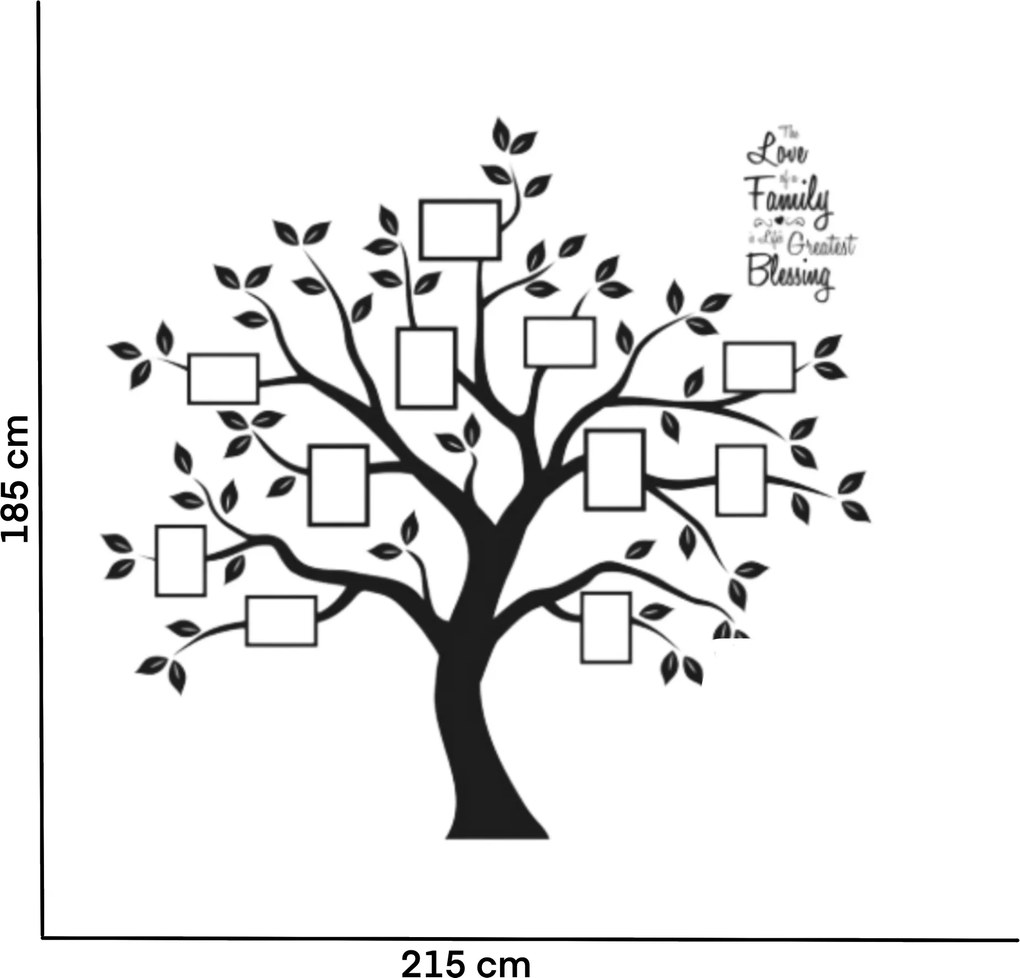 185x215cm Strom s fotkami 3 čierny - nálepka na stenu