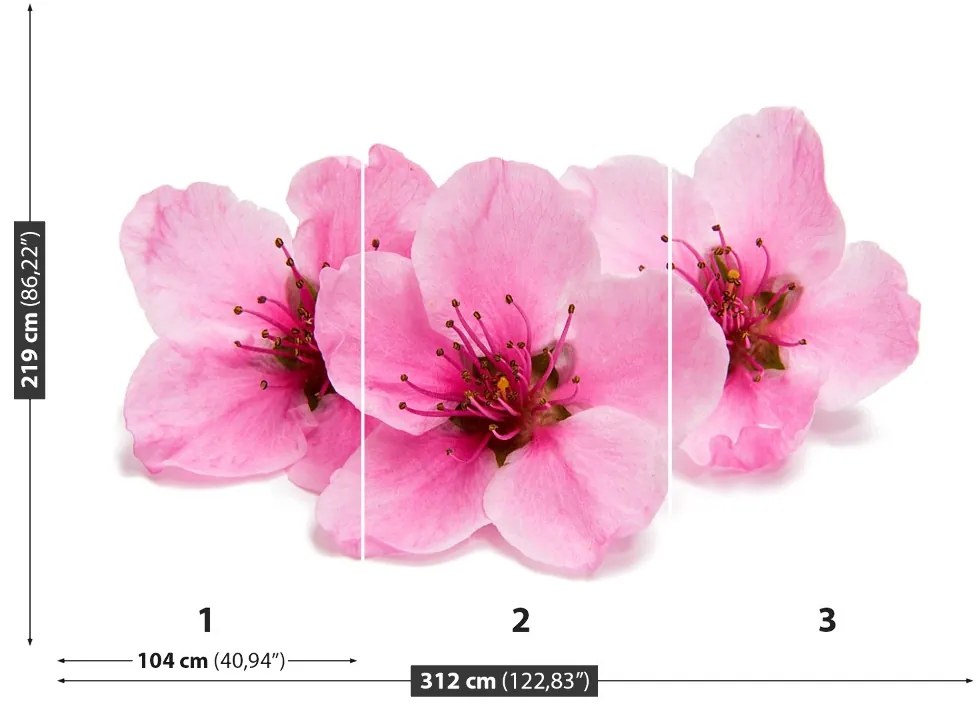 Fototapeta Vliesová Čerešňové kvety 208x146 cm