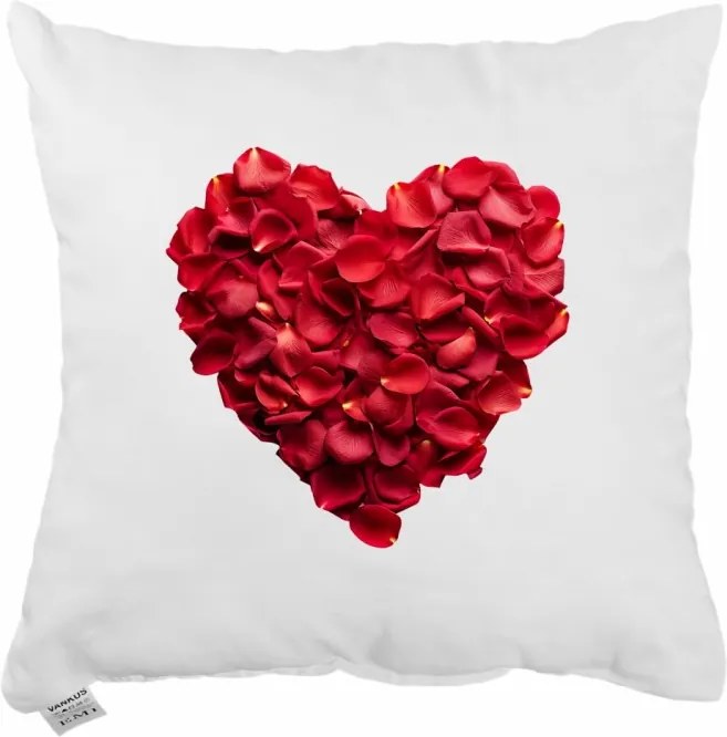 Dekoratívny vankúš Rozalie 40×40 cm EMI