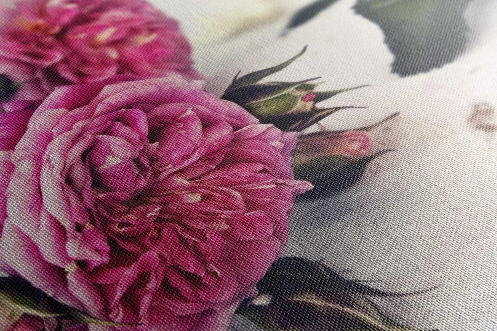 Obraz ruže v rozkvete Varianta: 60x40