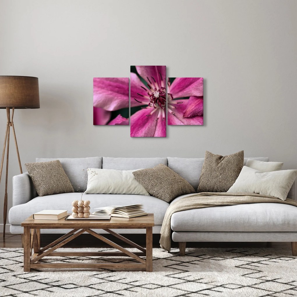 Obraz ružového kvetu plamienku (90x60 cm)