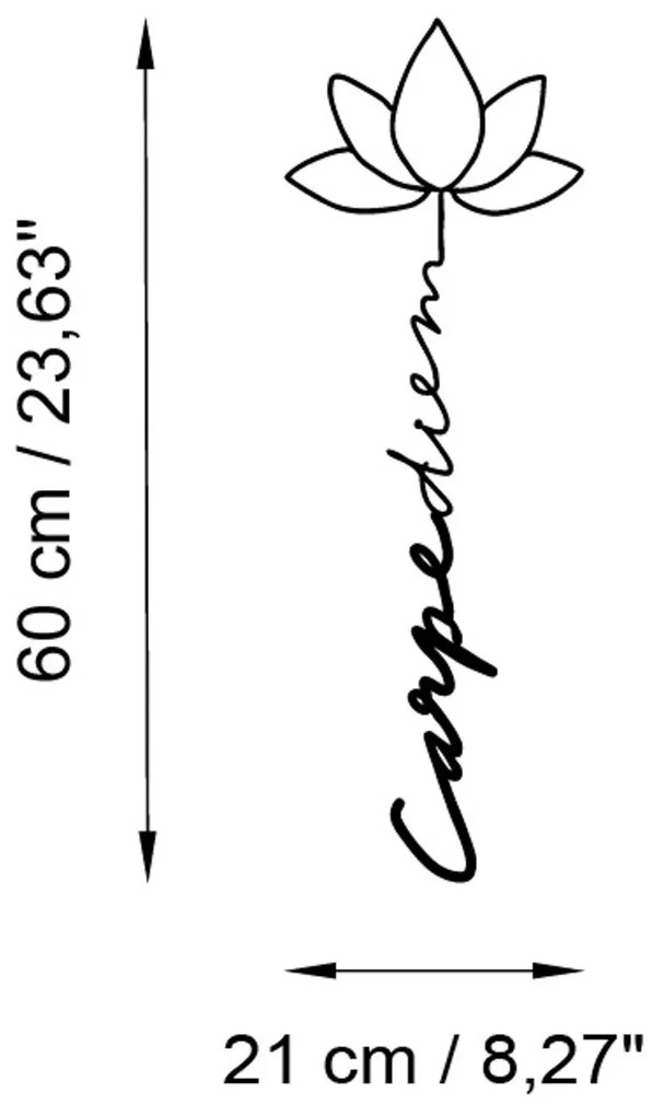 Nástenná kovová dekorácia Carpe Diem 4 čierna