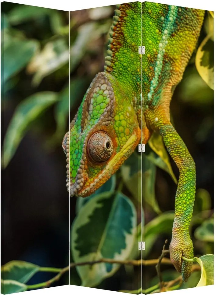 Paraván - Chameleon (126x170 cm)