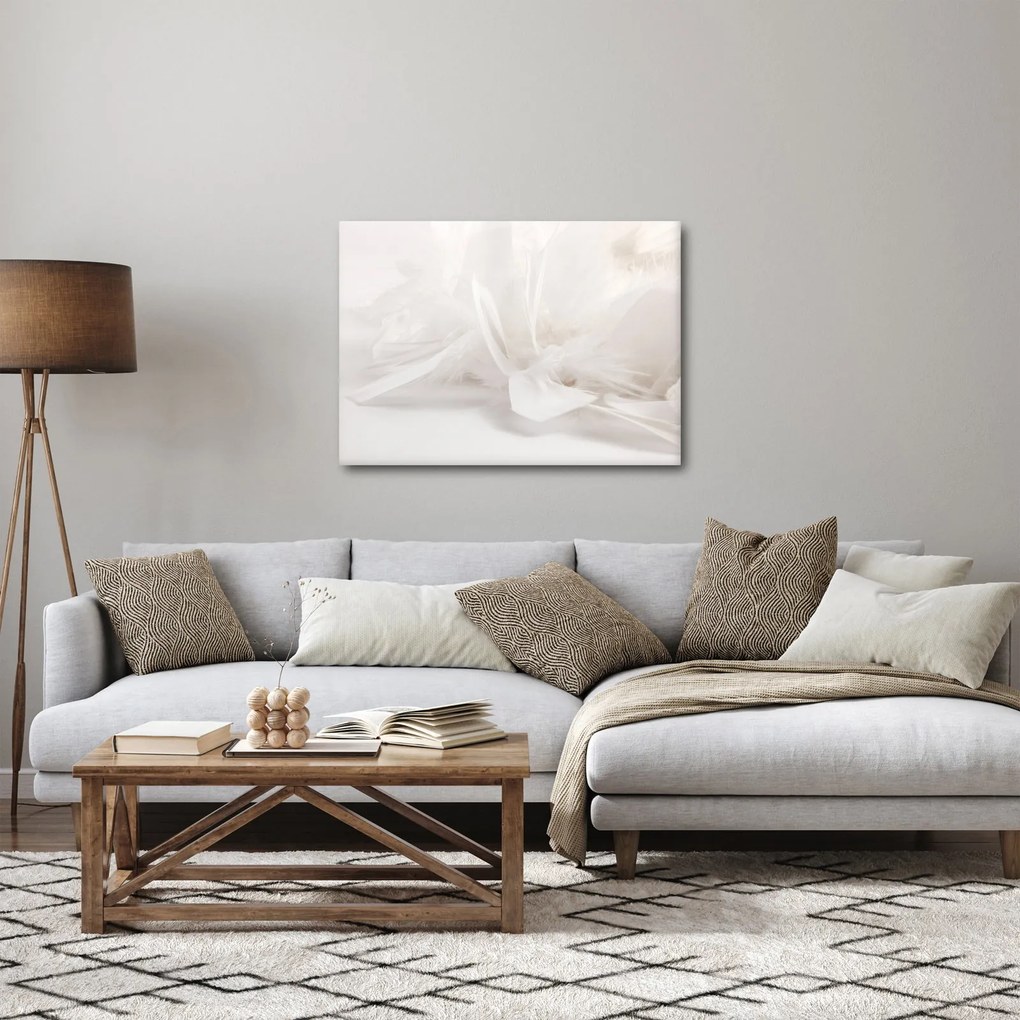 Obraz - Perie (70x50 cm)