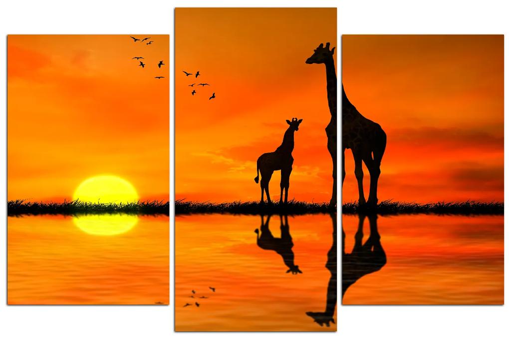 Obraz na plátne - Žirafy silueta 1919C (120x80 cm)