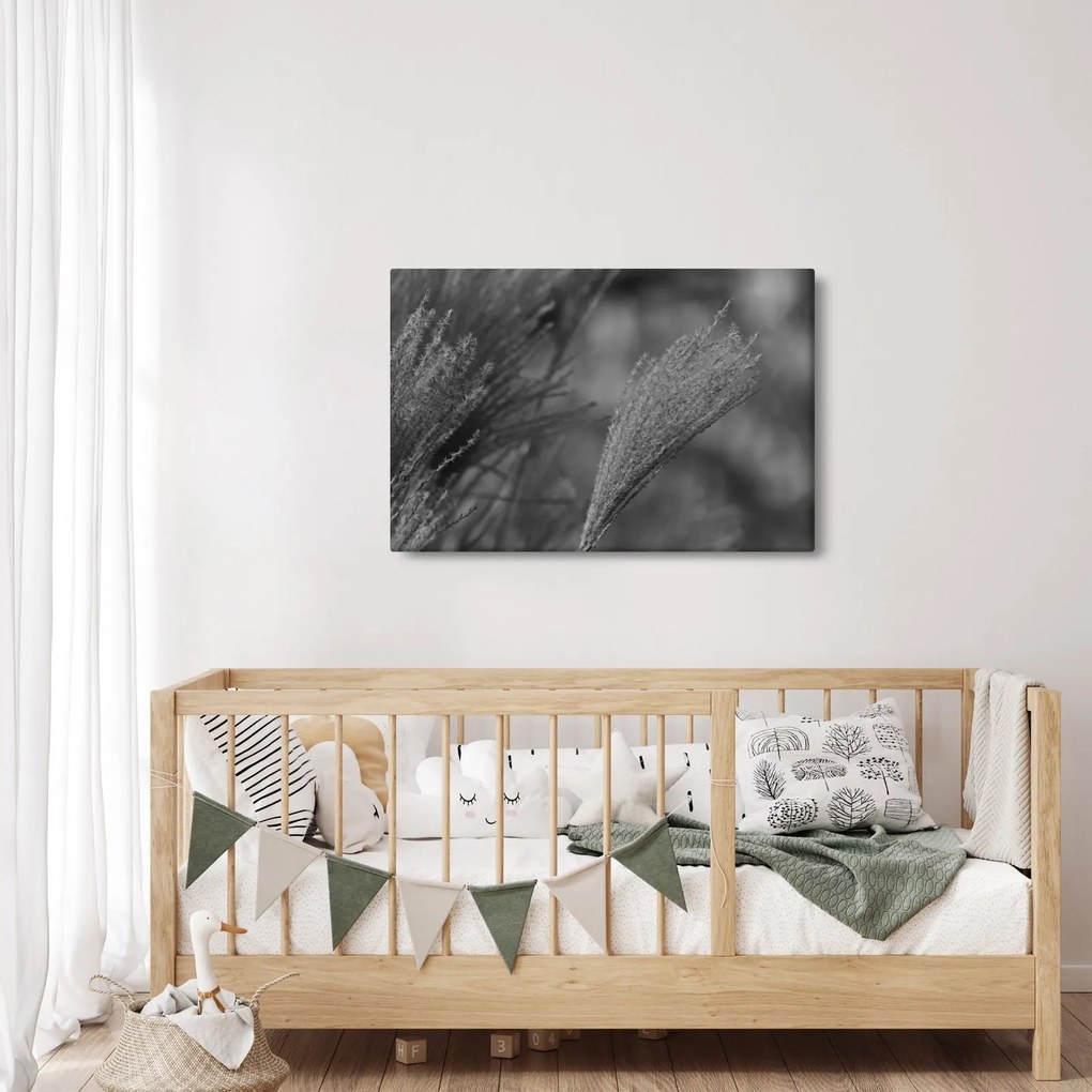 Obraz - Sušená pampová tráva (90x60 cm)