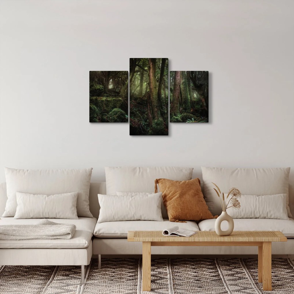 Obraz - Tajomný les (90x60 cm)