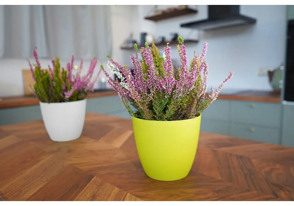 Gardenico Kvetináč Ella matt biela, pr. 25 cm, pr. 25 cm